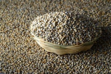 Pearl Millet — Organic Grade