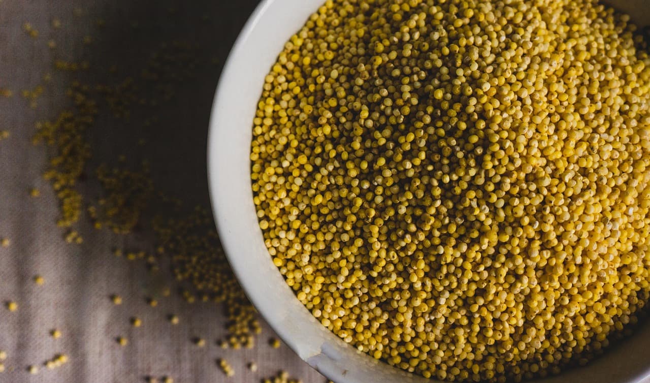 Pearl Millet — Premium Export